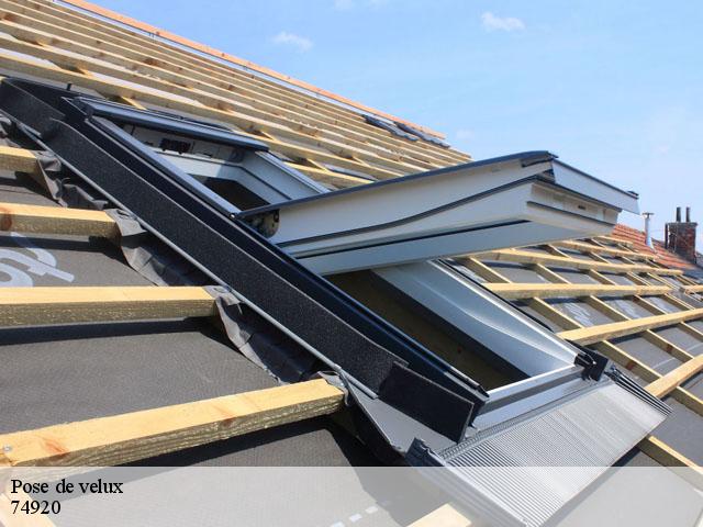 Pose de velux  74920