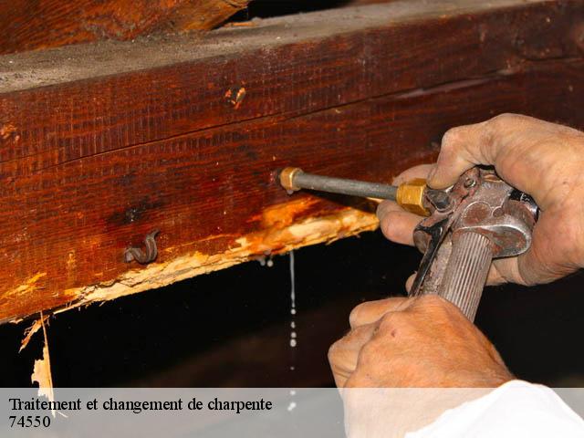 Traitement et changement de charpente  74550